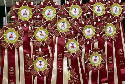 �������� ����� '���-�����-������' 22-23 ������ 2014 169A8263 copy.jpg